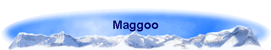 Maggoo